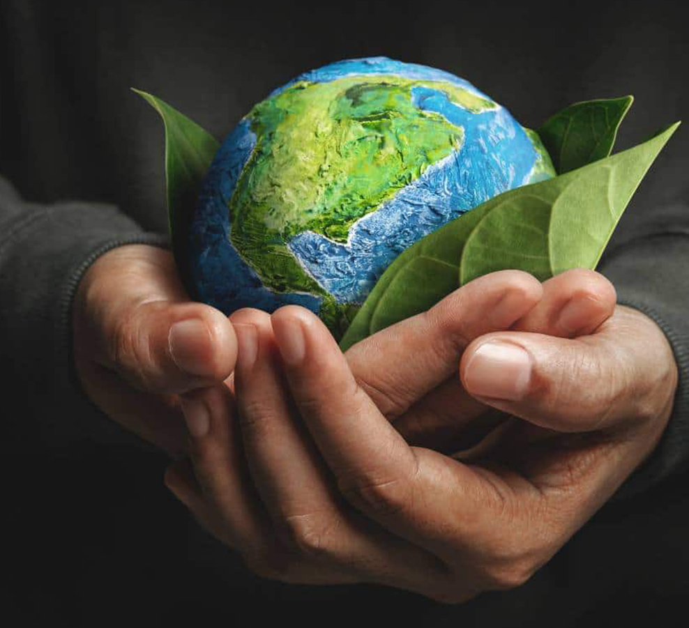 Jiaxing Dingshi Machinery Manufacturing Co., Ltd.